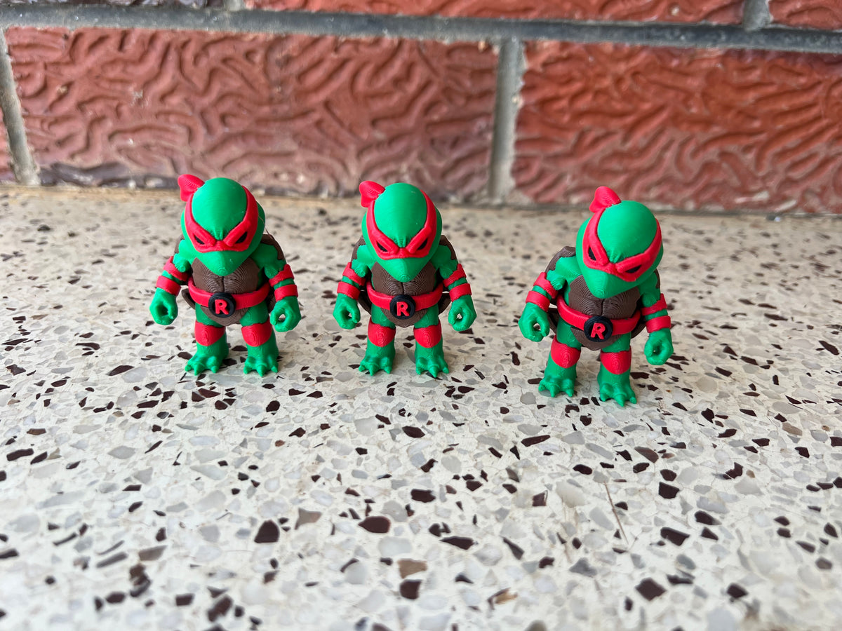 Fighting Turtles