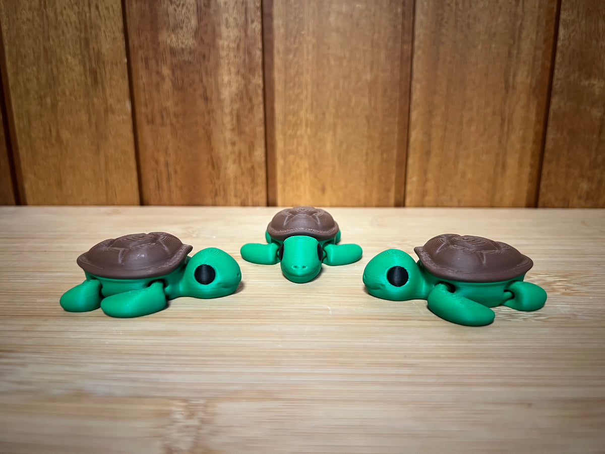 Turtle