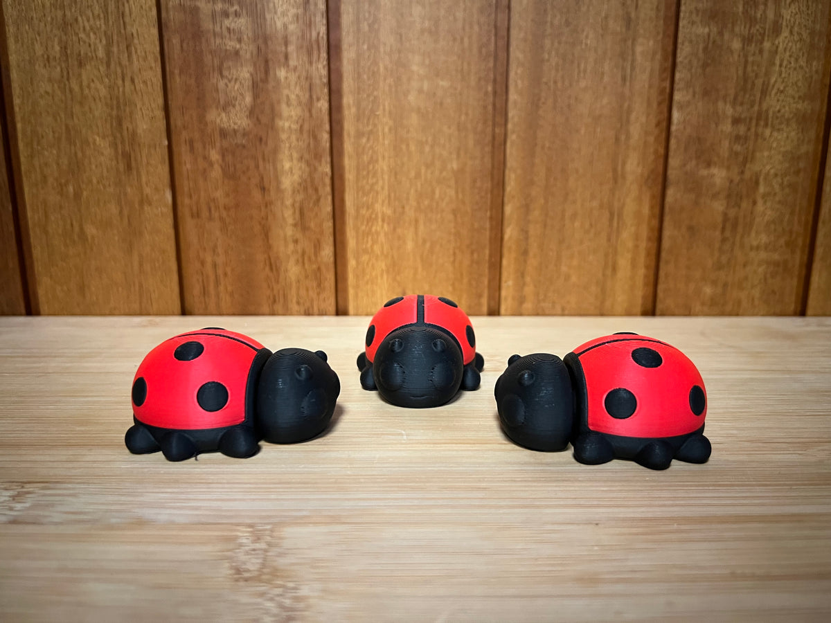 Ladybug