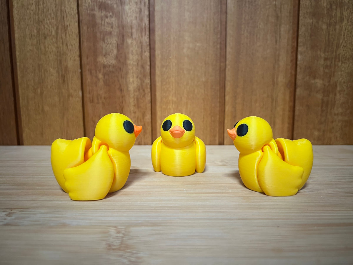 Duck