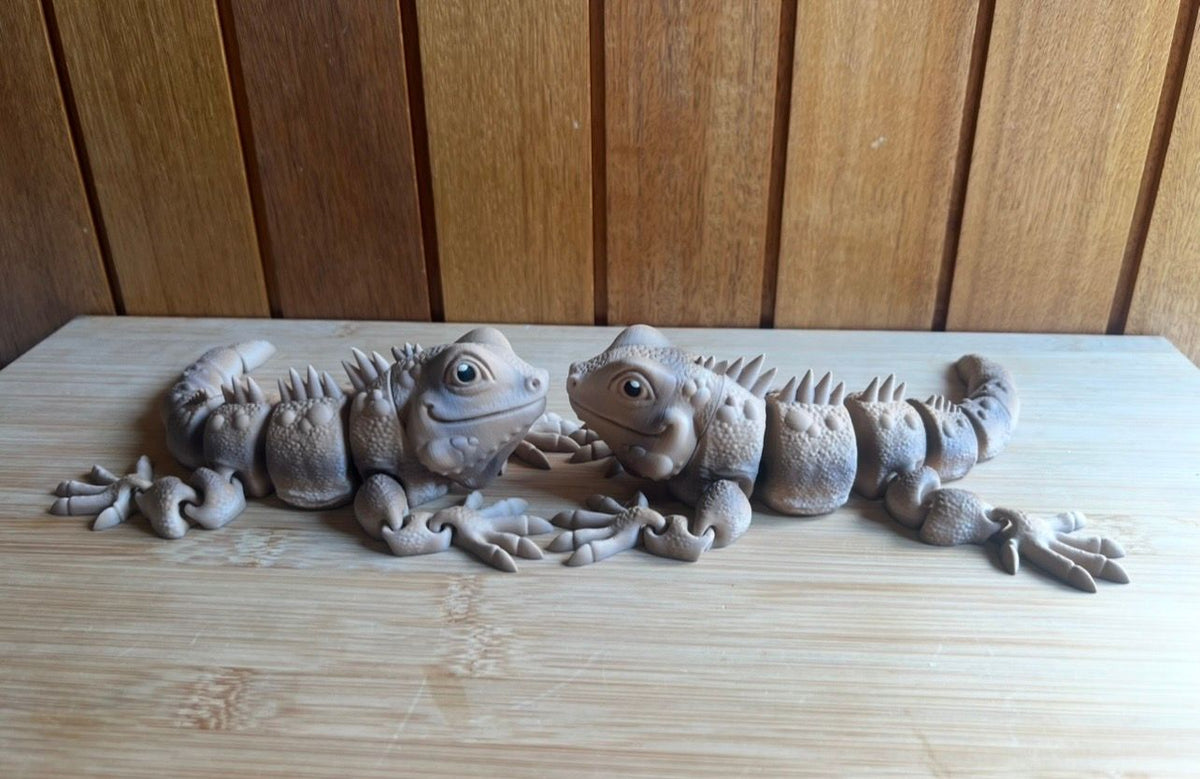 Large Iguana