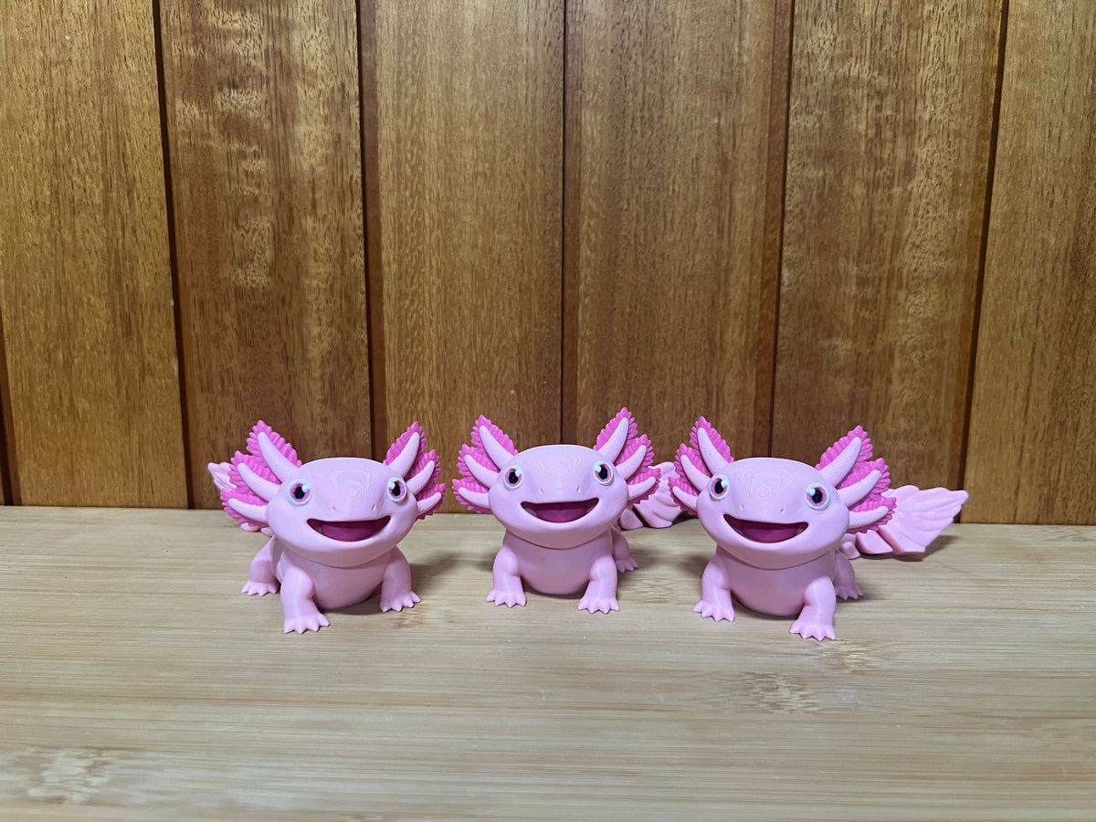 Large Axolotl