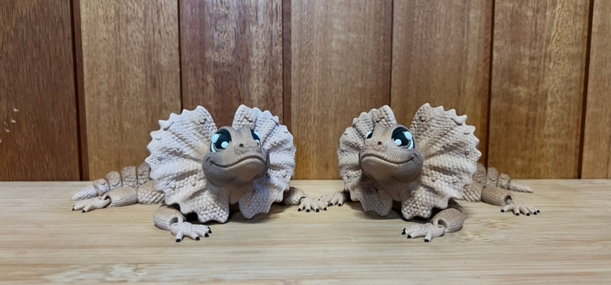 Frilled Neck Lizard