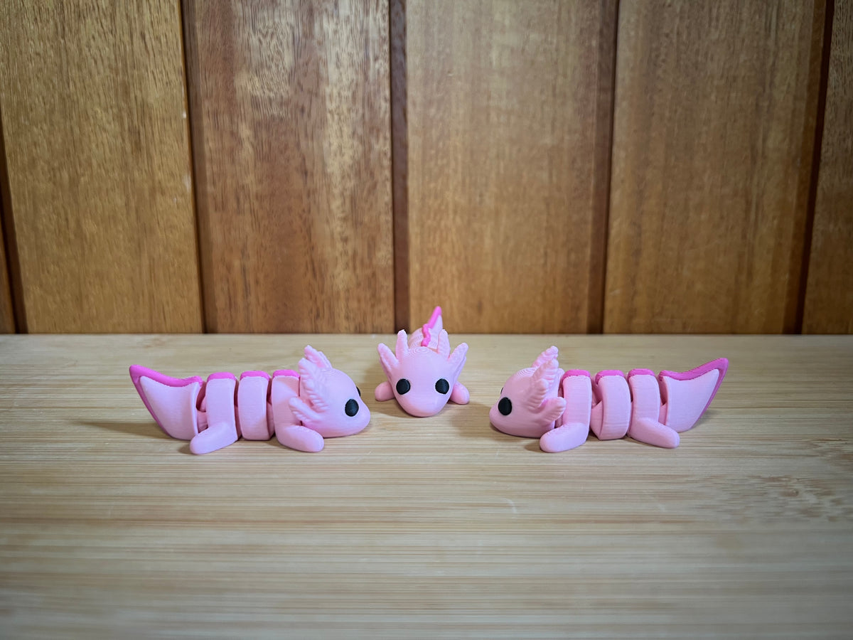 Axolotl