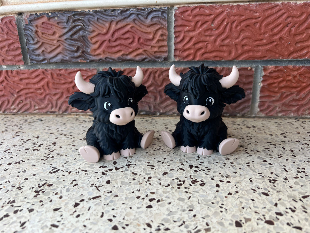 Large Highland Cows