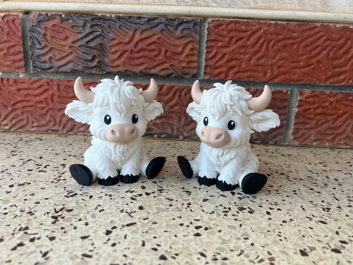 Large Highland Cows