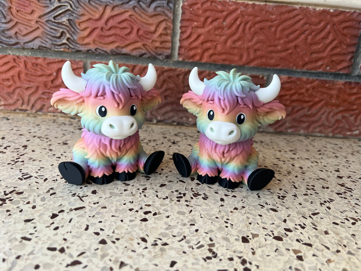 Large Highland Cows