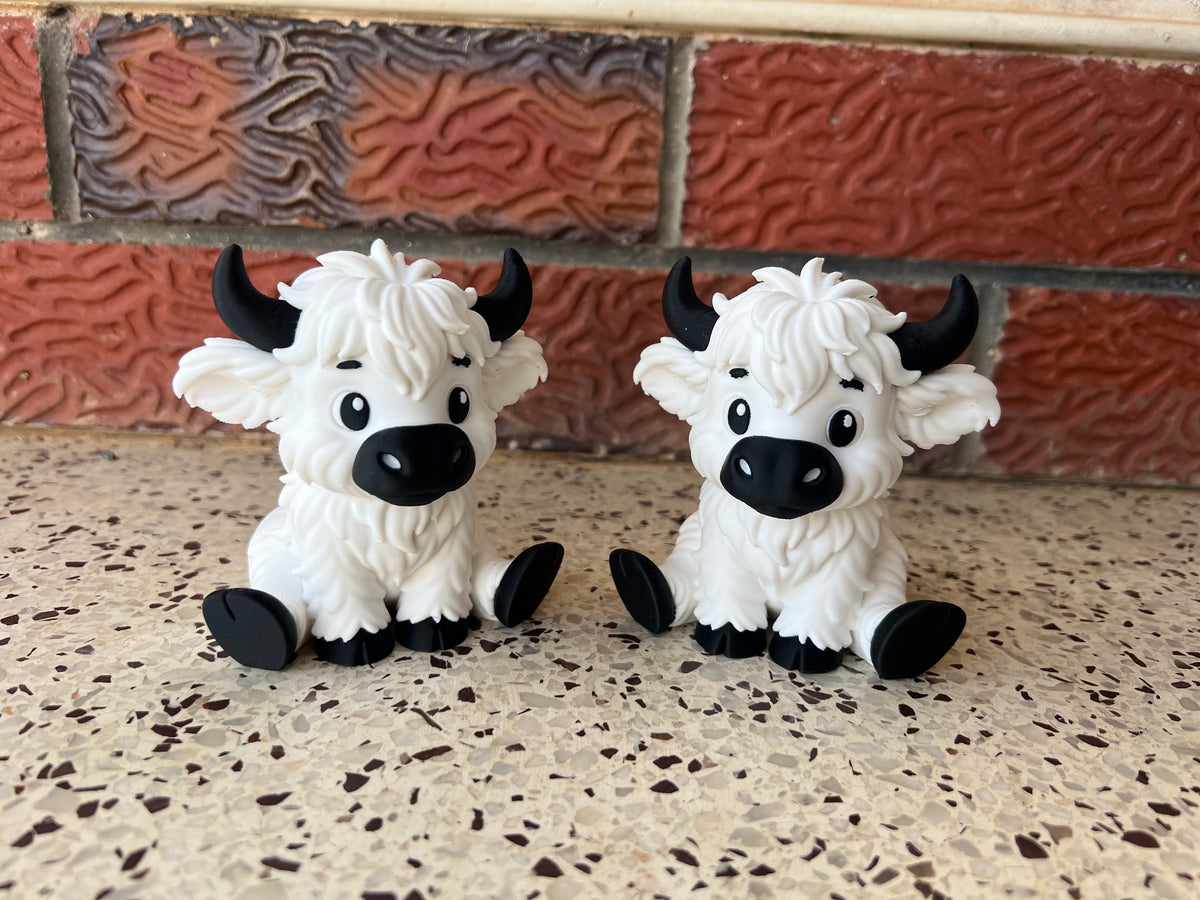 Large Highland Cows