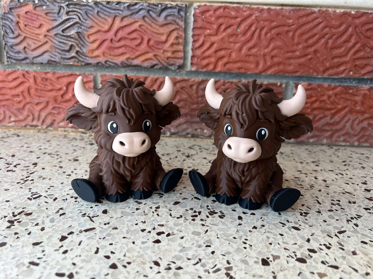 Large Highland Cows