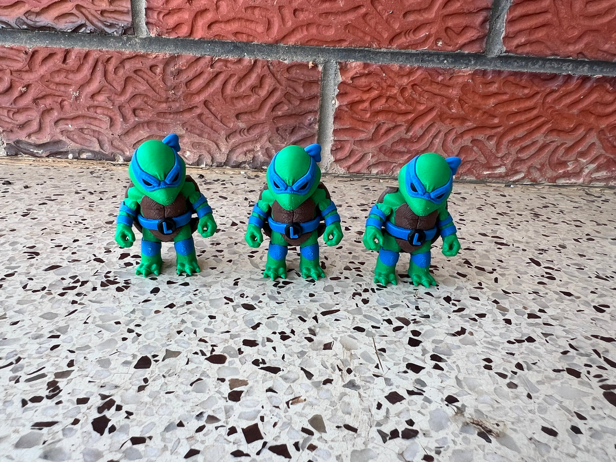 Fighting Turtles