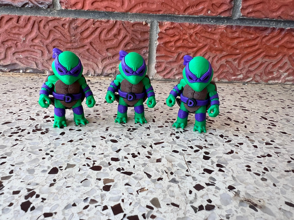 Fighting Turtles