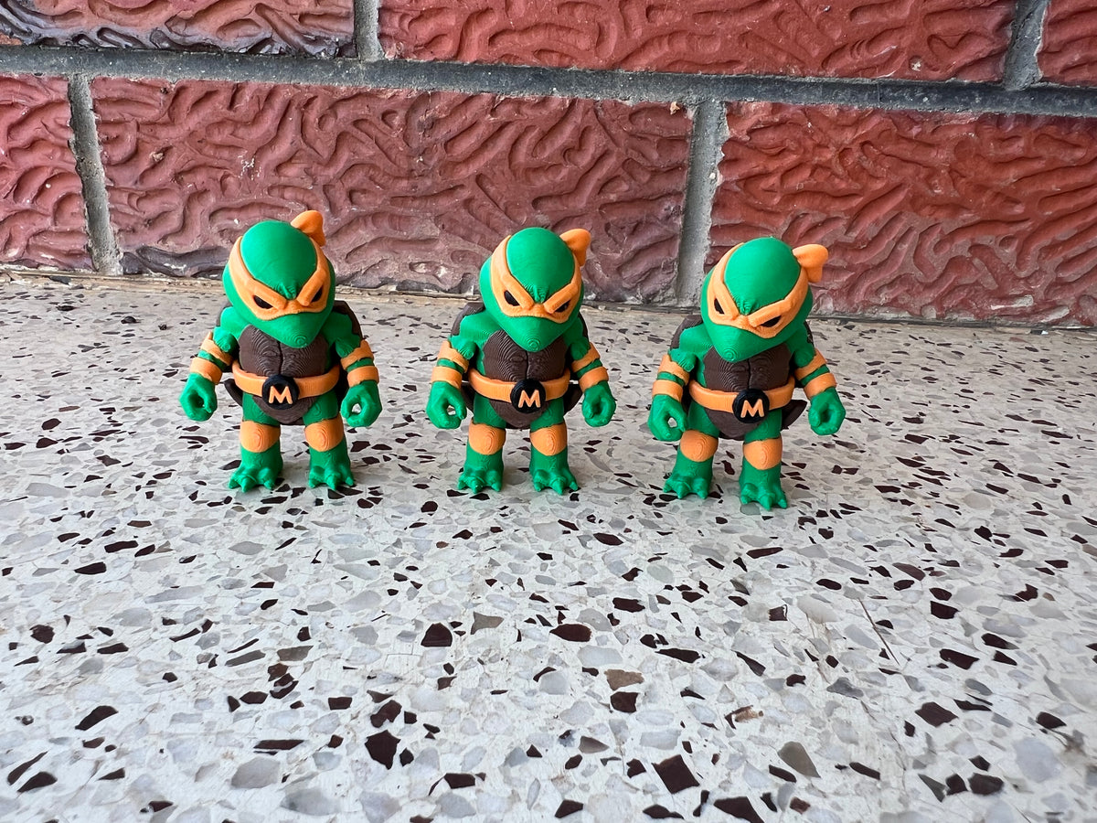 Fighting Turtles