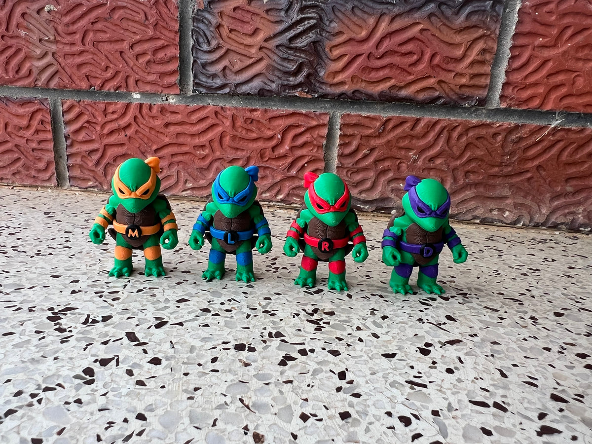 Fighting Turtles
