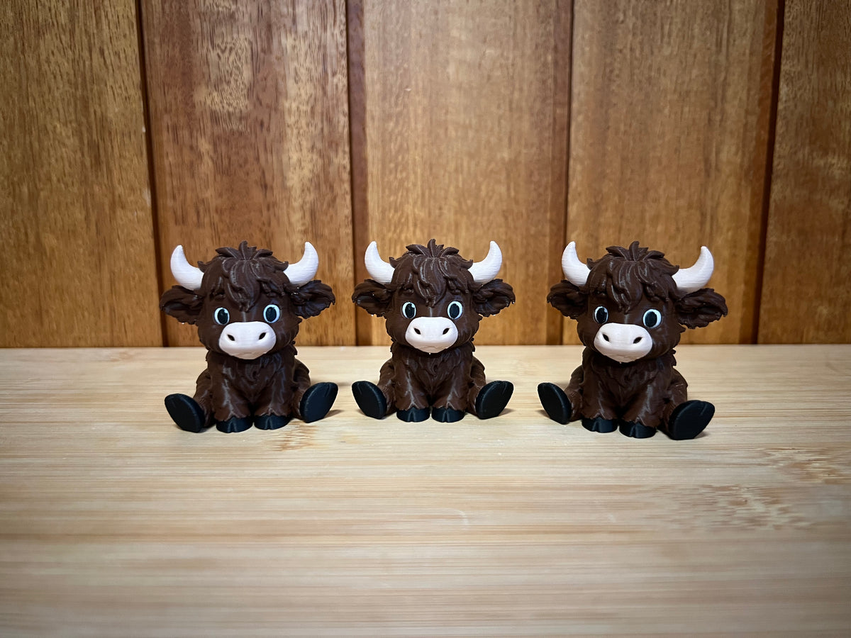 Small Highland Cows