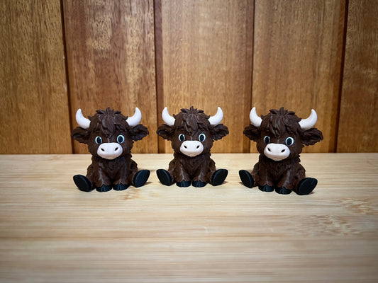Small Highland Cows