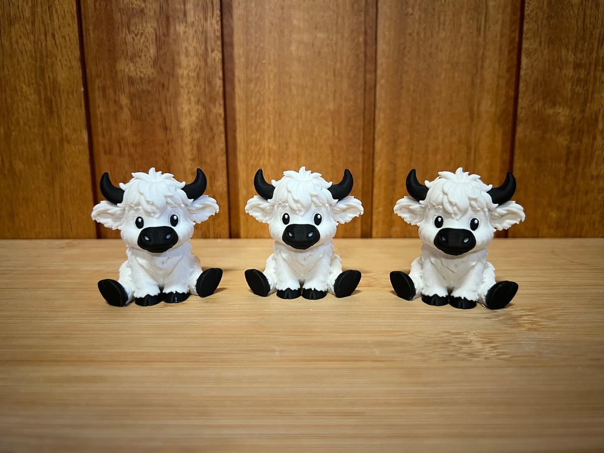 Small Highland Cows
