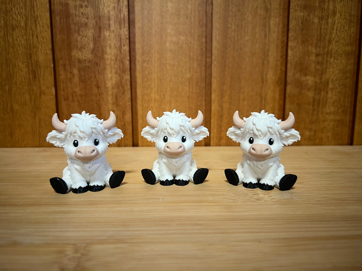 Small Highland Cows