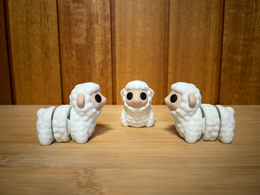 Sheep