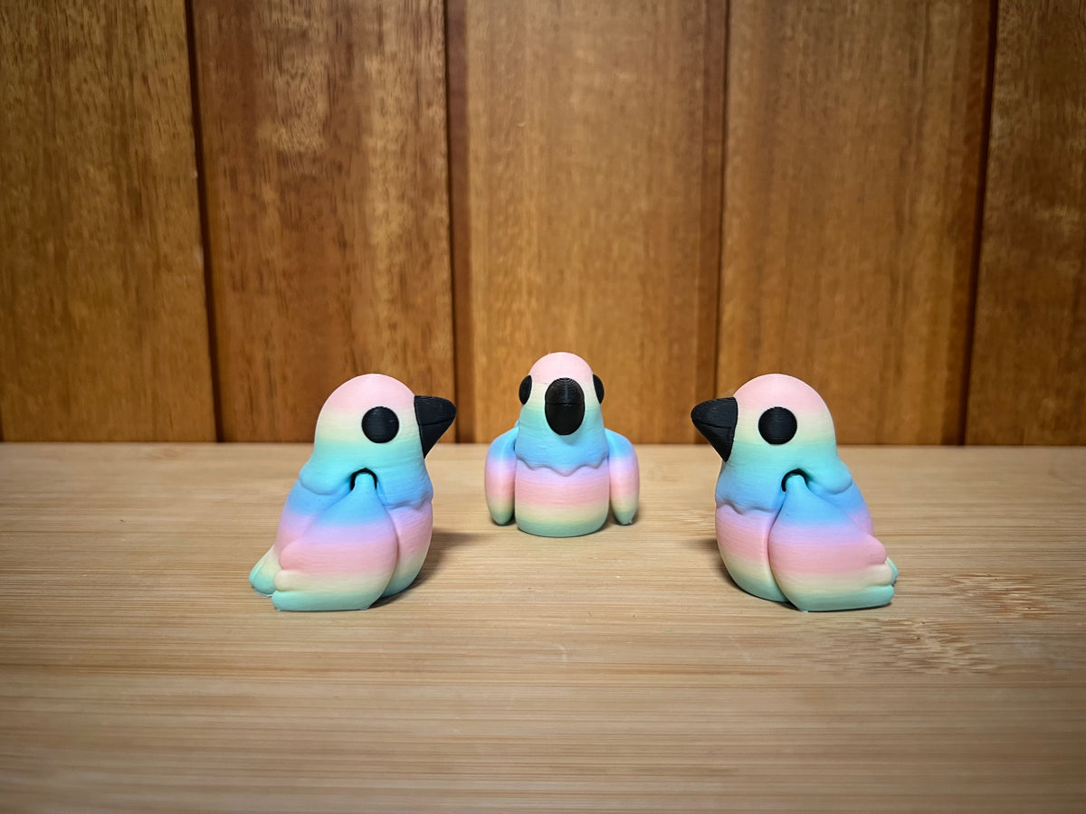 Rainbow Bird