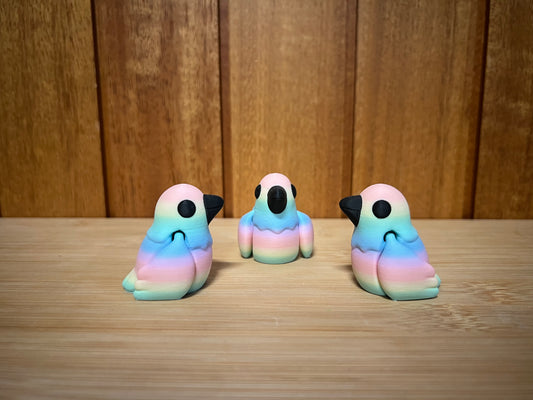 Rainbow Bird