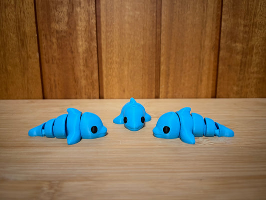 Dolphin